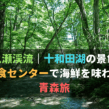 奥入瀬渓流、十和田湖の景色と八食センターで海鮮を味わう青森旅